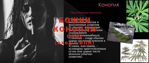 сатива Верхнеуральск